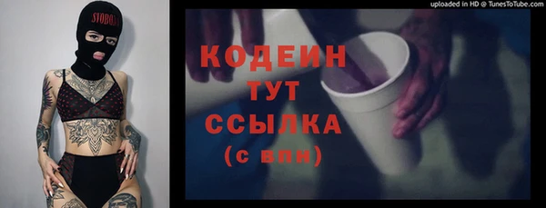 гашик Корсаков