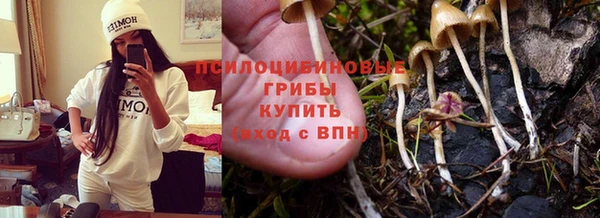 гашик Корсаков