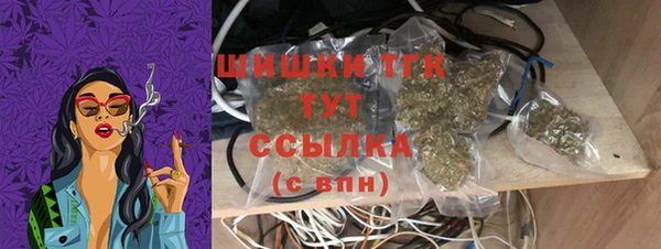гашик Корсаков