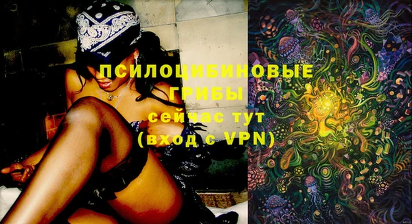 метадон Коряжма